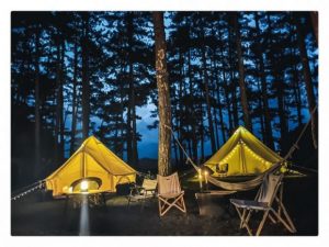 Đà Lạt về đêm