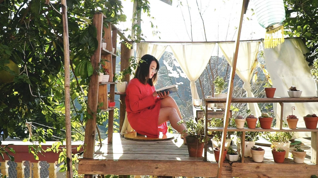 Tình Yêu Đà Lạt