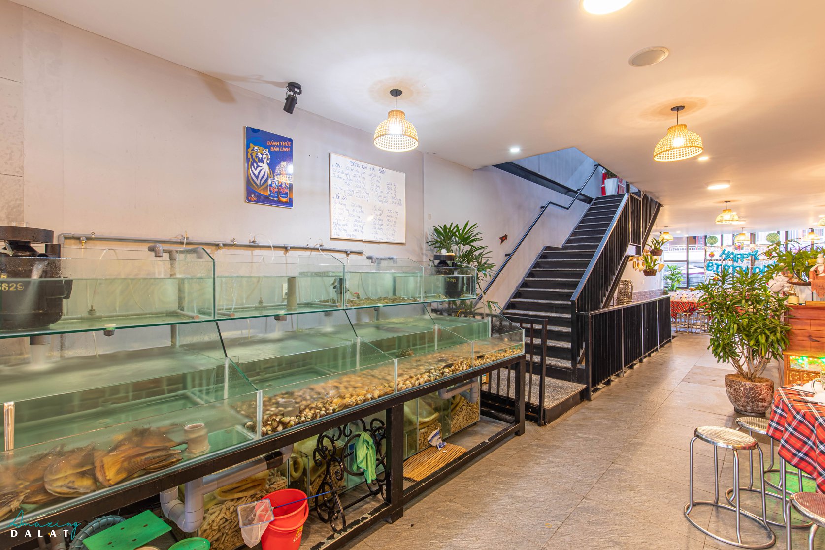 Đô bất tử quán 5