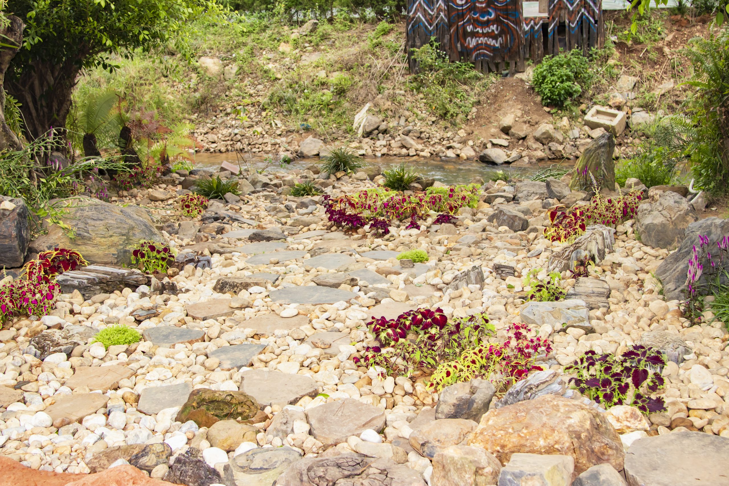 quần thể KDl pi ni